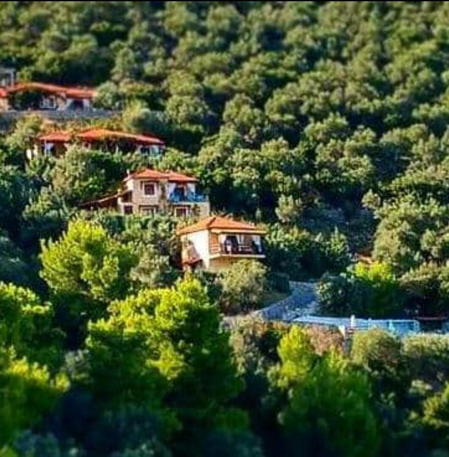Skiathos Garden Cottages Exterior photo